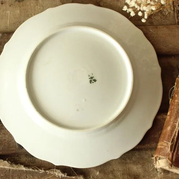 Vintage Antique 1800s 1900s Plate, CT Carl Tielsch Austria Pink and Brown Rose - Picture 7 of 10